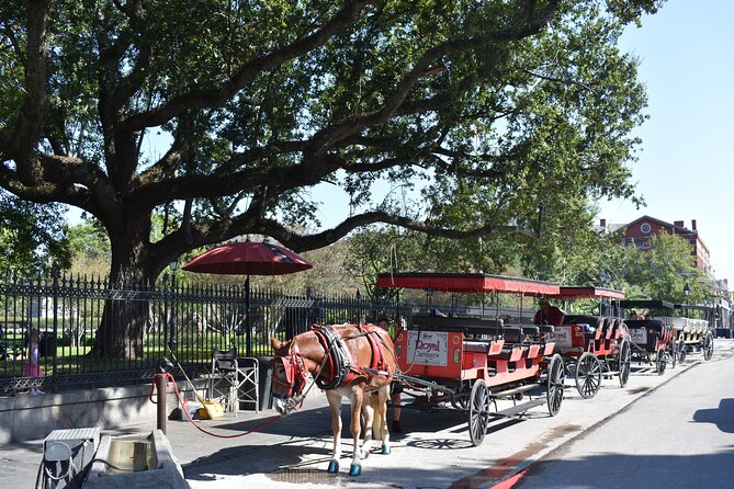 45-Minute French Quarter Highlights Tour in New Orleans - Key things to know before you walk off the curb