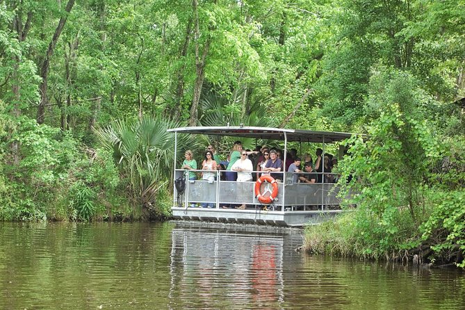 90-Minute Jean Lafitte Swamp and Bayou Tour with Transportation - Key Highlights Worth Planning Around