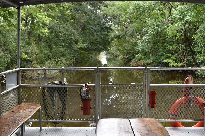 90-Minute Jean Lafitte Swamp and Bayou Tour with Transportation - What Makes the $62 Price Feel Reasonable