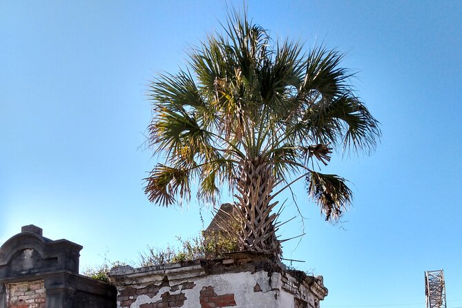 A Local's Garden District Tour - The Route Starts at the Mississippi River: How New Orleans Was Built
