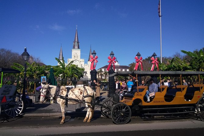 A Local's Private French Quarter Walking or Biking Tour - Mississippi River: history through movement and survival