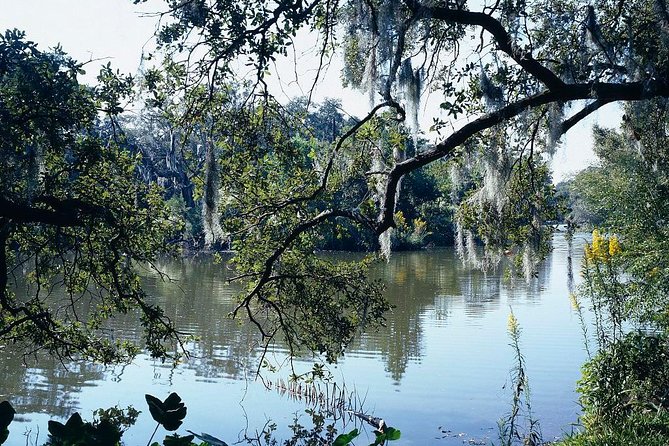 A Walk in the Park: City Park New Orleans Audio Tour - Starting at Beauregard Circle Without Wasting Steps