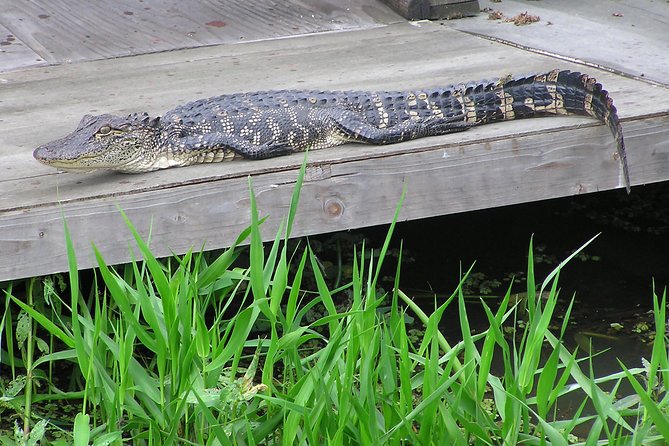 Airboat and Plantations Tour with Gourmet Lunch from New Orleans - Houmas House: lunch first, then gardens, antiques, and estate storytelling
