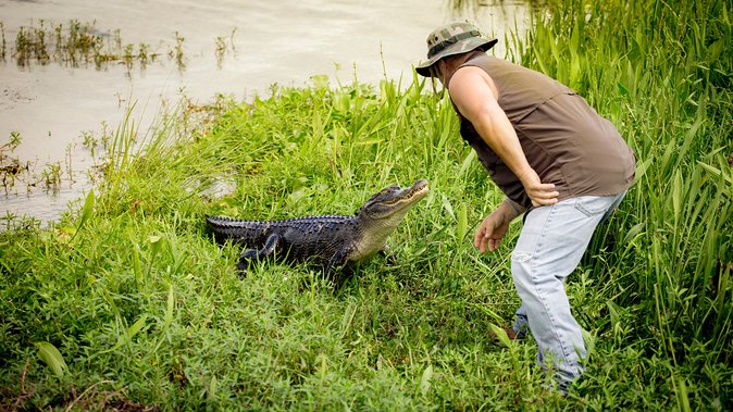 Airboat Ride with Transportation from New Orleans - Airboat Adventures: The Fast, Loud, Wonderful Ride