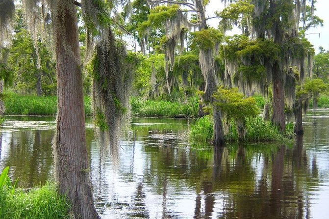 Airboat Swamp and Destrehan Plantation Tour from New Orleans - A Half-Day Swap From New Orleans to the Bayou