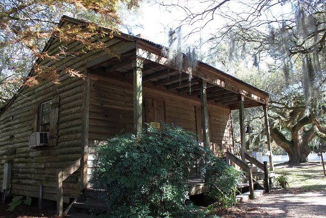 Airboat Swamp and Destrehan Plantation Tour from New Orleans - Swamp Adventures Airboat: Speed, Wildlife, and the Photo Stop Rhythm