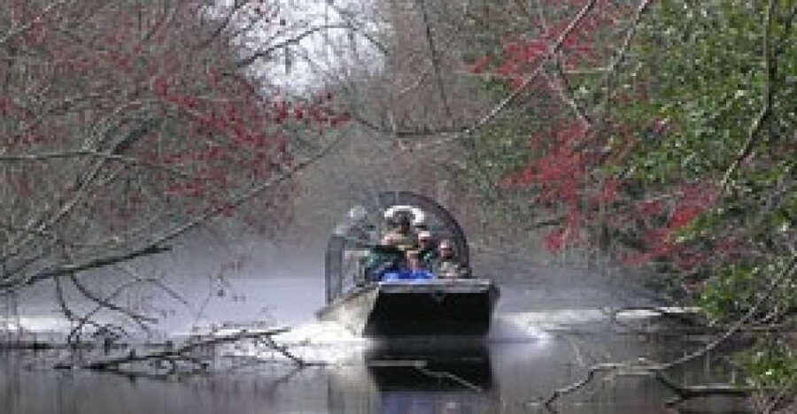 Airboat Tour of Louisiana Swamps - Hotel Pickup From New Orleans: Timing and the Stuff That Matters