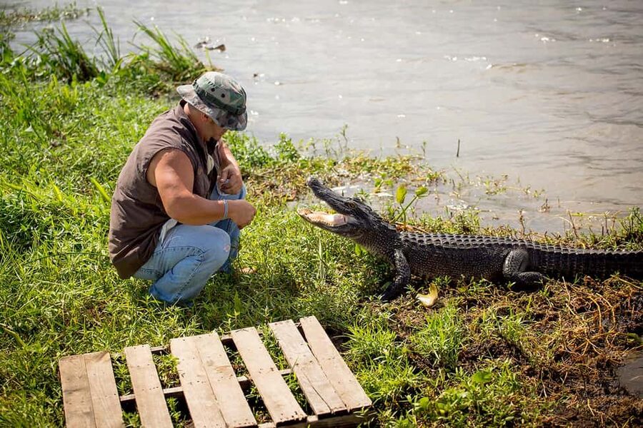Alligator Swamp Tour by Gray Line New Orleans - Key things I’d clock before you go