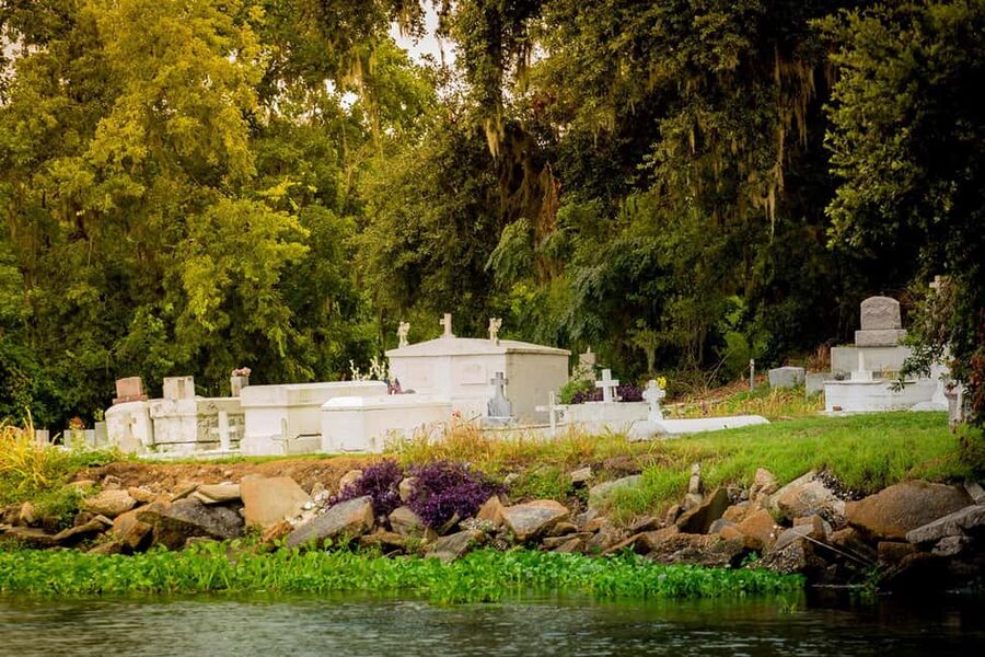 Alligator Swamp Tour by Gray Line New Orleans - Wetlands and coastal erosion: why the guide’s talk matters