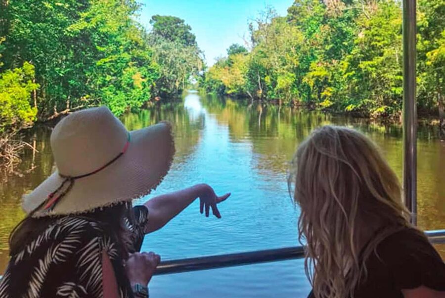 Alligator Swamp Tour by Gray Line New Orleans - The tour rhythm: what you’ll do at the dock and onboard