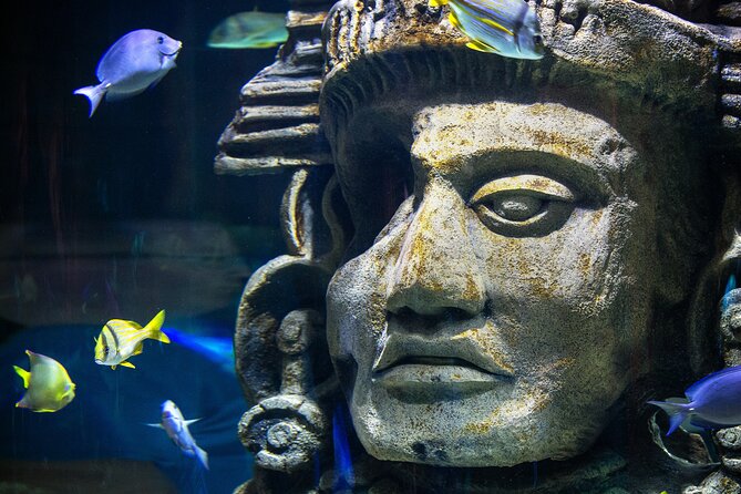 Audubon Aquarium and Insectarium Ticket - The insect half: Insectarium activities and the Butterfly Garden