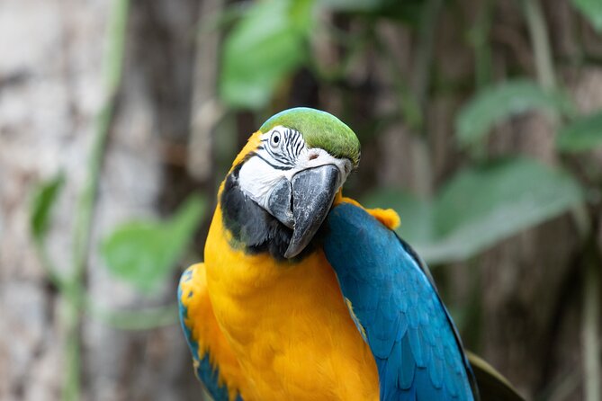 Audubon Aquarium and Insectarium Ticket - How to plan your 2–3 hour visit (without feeling rushed)