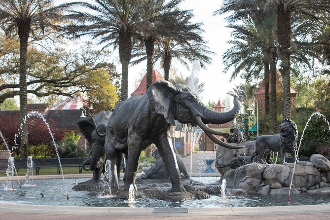 Audubon Zoo Ticket - Key Things I’d Prioritize at Audubon Zoo