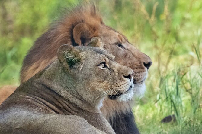 Audubon Zoo Ticket - Louisiana Swamp Exhibit: The World’s Only Urban Swamp