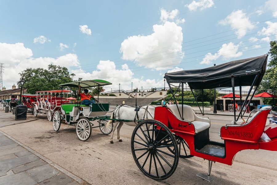 City Sightseeing New Orleans HOHO Bus Tour & Bookable Extras - Caesars and the cultural stops around Poydras: switching from streets to a wider view