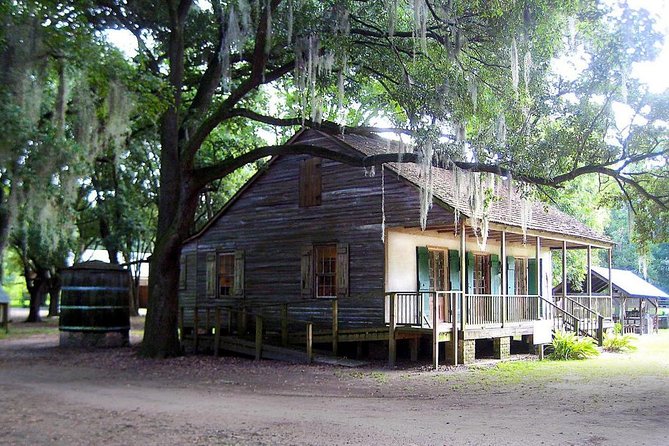 Destrehan Plantation and Large Airboat Tour from New Orleans - Close-Up Bayou Moments: Wildlife Viewing Without the Guesswork