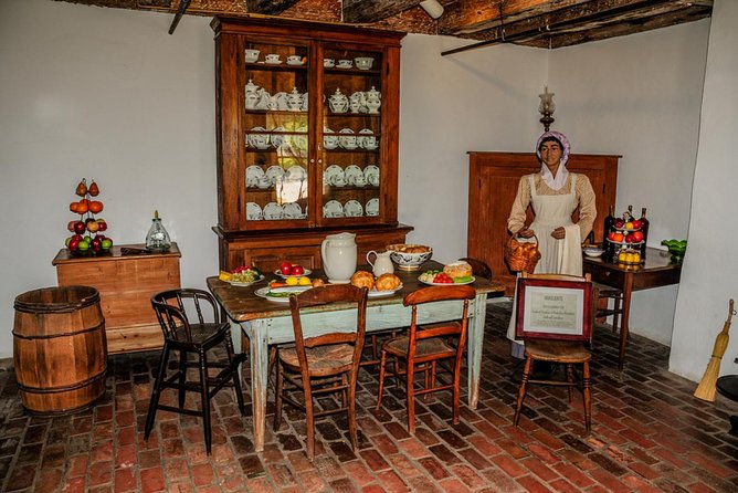 Destrehan Plantation and Swamp Tour from New Orleans - Swamp Tour at Barataria Preserve: covered boat comfort and real bayou wildlife