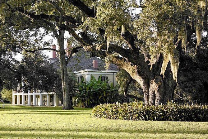 Destrehan Plantation and Swamp Tour from New Orleans - Who should book this Destrehan + Swamp combo (and who shouldn’t)