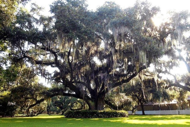 Destrehan Plantation and Swamp Tour from New Orleans - Practical tips to help you have a smooth day
