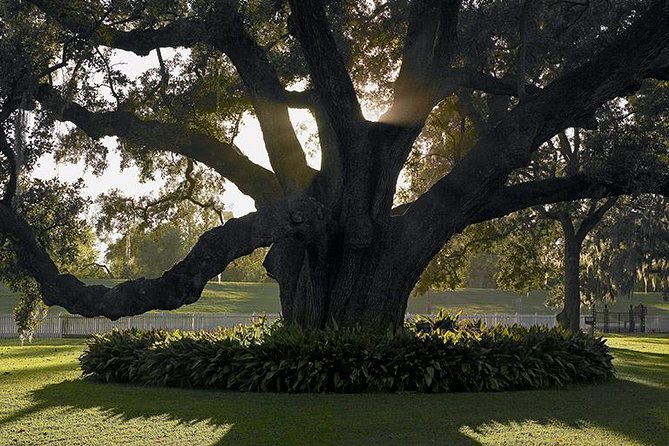 Destrehan Plantation Tour - The main experience at the plantation: what happens once you’re inside