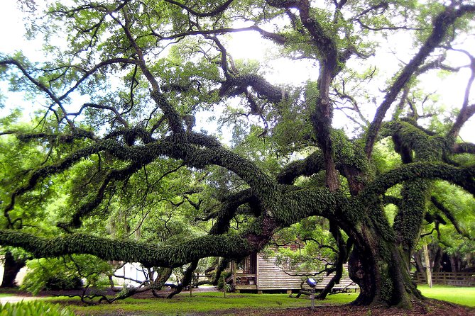 Destrehan Plantation Tour - The Legacy Room: original documents and artifacts you can build meaning from