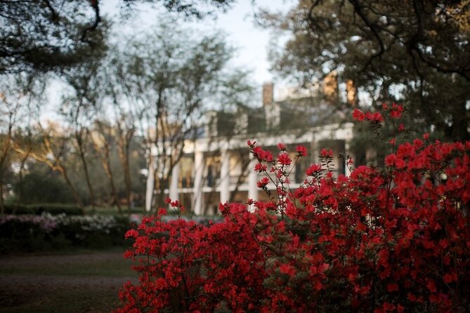 Explore Oak Alley Plantation Guided Tour with Transportation - Key Things I’d Prioritize Before You Go