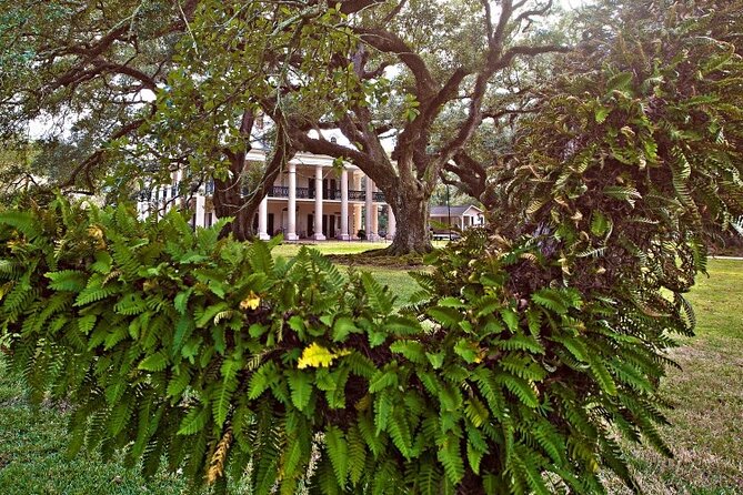 Explore Oak Alley Plantation Guided Tour with Transportation - Slavery at Oak Alley and the On-Site Exhibits That Add Meaning