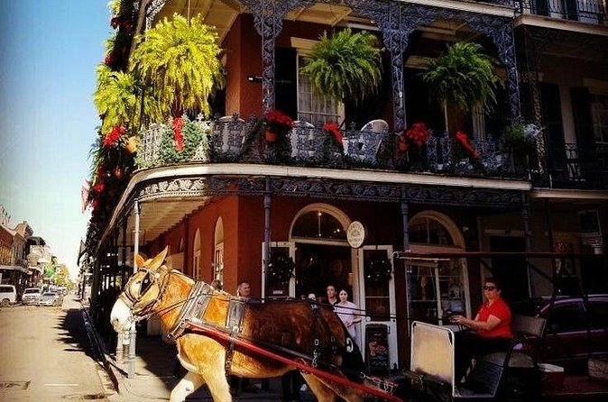 French Quarter Tour with Local Guide and Creole Stories - A Walk Along Elegantly French and Spanish Architecture