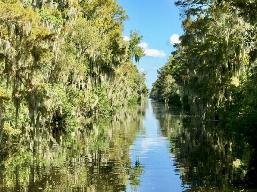 From Lafitte: Swamp Tours South of New Orleans by Airboat - Making it a great day: timing, weather, and small comfort moves
