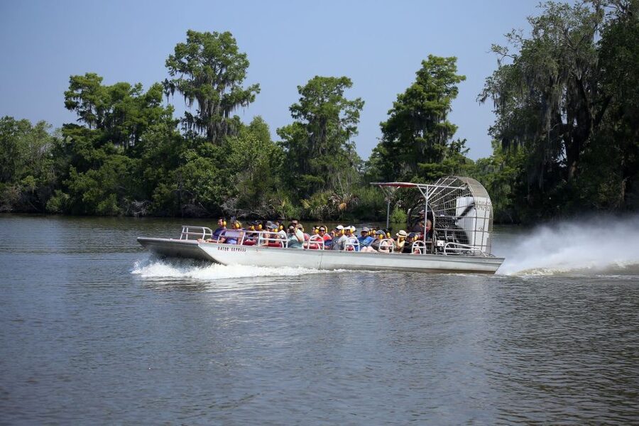 From Lafitte: Swamp Tours South of New Orleans by Airboat - Small boat vs big boat: choosing the experience style you want