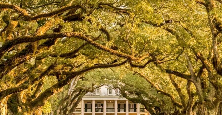 From New Orleans: Oak Alley Plantation Tour - Walking the Grounds: What Your Guided Time Is Really For