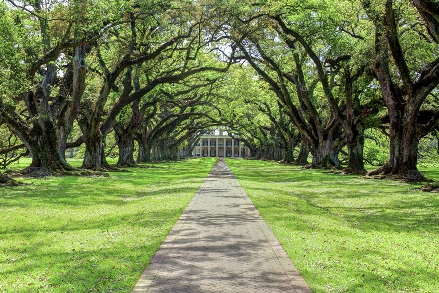 From New Orleans: Oak Alley Plantation Tour - Transportation Notes: Bus Comfort, Seats, and Small Detours