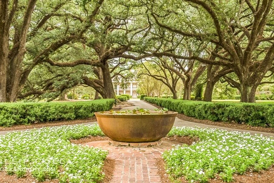 From New Orleans: Oak Alley Plantation Tour - Touring the Famous Double Row of Live Oaks