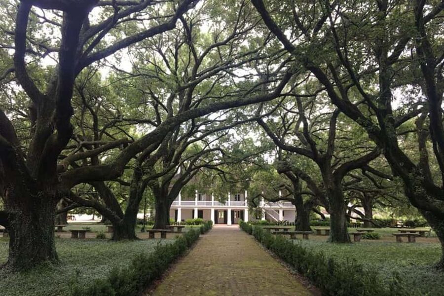 From New Orleans: Whitney Plantation and Airboat Tour Combo - Key highlights to know before you go