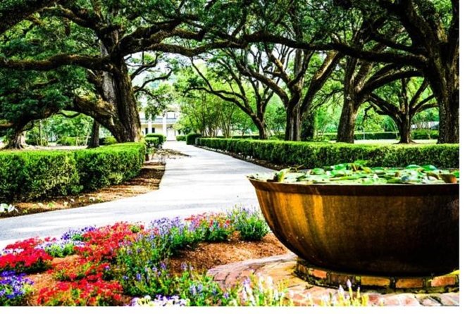 Garden District History and Homes Walking Tour - Key Things I’d Tell a Friend Before You Go