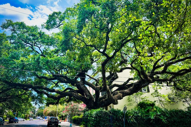 Garden District Walking Tour - The real payoff: Garden District streets, Anne Rice, Mark Twain, and filming sites