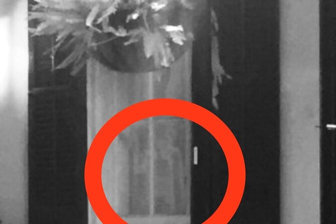 Ghost Hunt Experience - Restrooms, Comfort, and the Night-Ready Practical Stuff