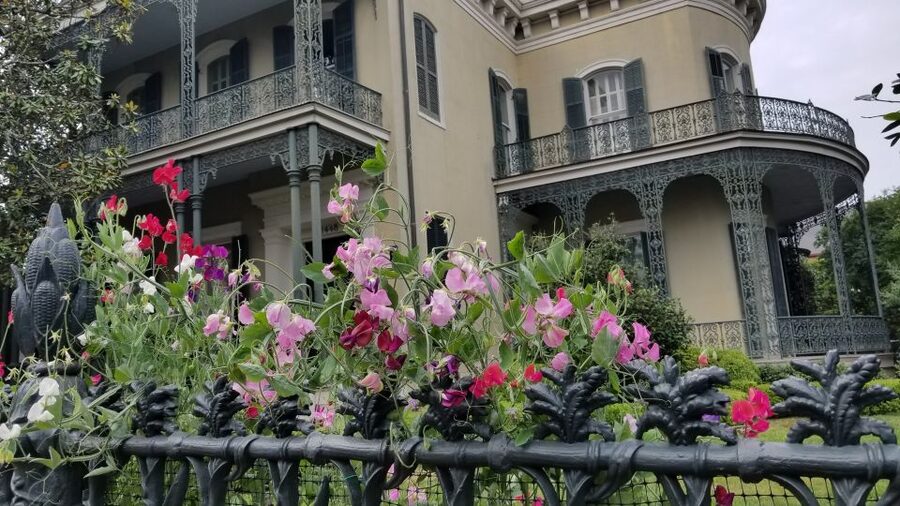 Glamorous Garden District Tour - Famous Homes and Screen Credits: Seeing New Orleans Through Pop Culture
