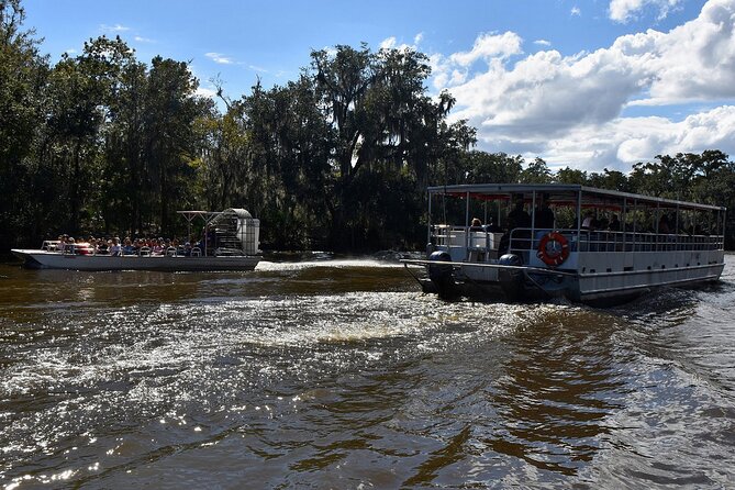 Guided Boat Tour of New Orleans Bayou - Entering the 20,000-acre tidewater cypress swamp run