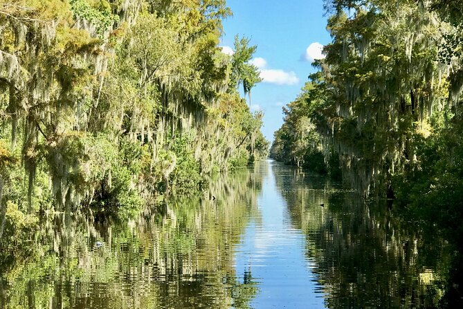 Guided Boat Tour of New Orleans Bayou - Wildlife you should watch for: alligators, birds, and the “look again” moments