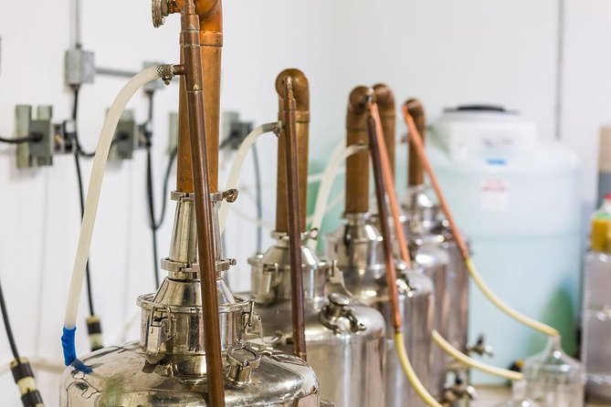Guided Distillery Tour & Rum Tasting - What the tasting teaches your palate