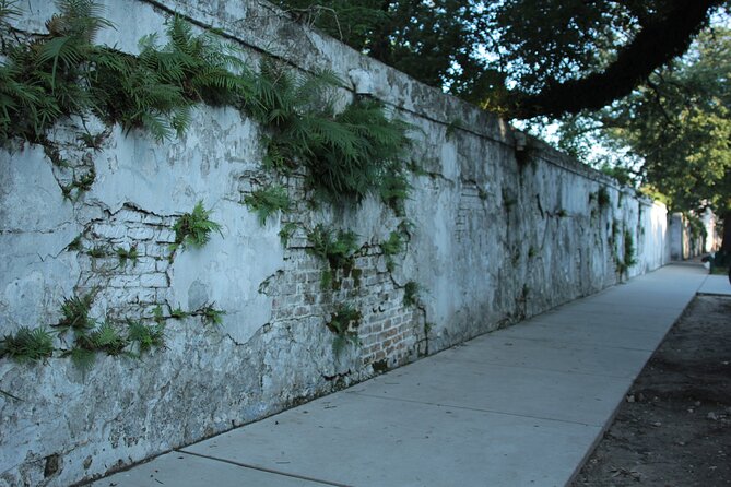 Historic Garden District Walking Tour - Walking conditions: how to stay comfortable on Garden District sidewalks