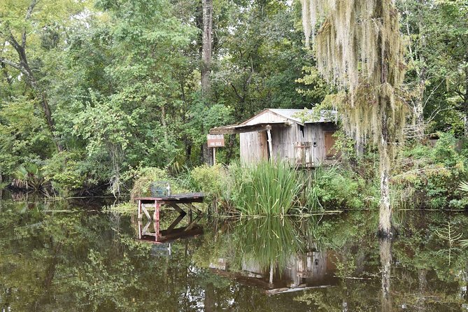 Jean Lafitte 90-Minute Swamp and Bayou Boat Tour - Timing choices: departure times, lunch add-ons, and planning your day