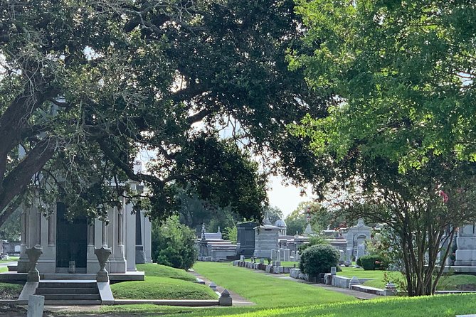 La Vie NOLA: Private City Tour of New Orleans - City Park break: oaks, a museum pass, and Cafe du Monde timing