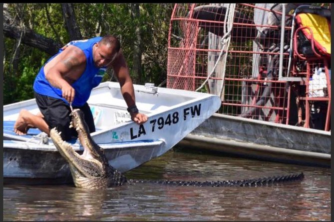Large Airboat Swamp Tour with Transportation from New Orleans - Wildlife spotting that feels real: gators, birds, turtles, and winter reality