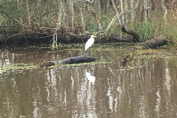 Laura Plantation and Airboat Tour Combo with Hotel Pickup - Price and value: why $152 can make sense for a full day