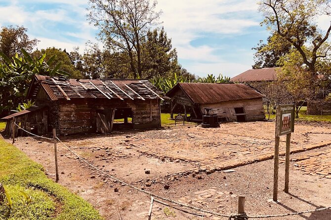 Laura Plantation Half-Day Tour from New Orleans - A half-day itinerary that actually fits real life in New Orleans