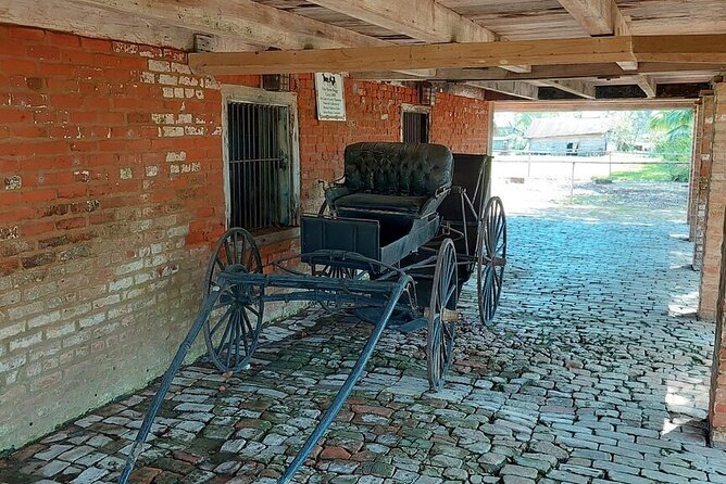 Laura Plantation Half-Day Tour from New Orleans - Who this tour suits best (and who should think twice)