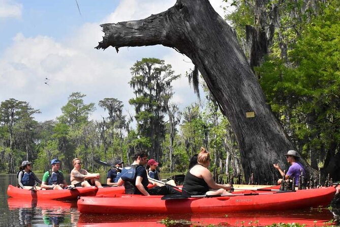 Manchac Swamp Extended 4-Hour Kayak Tour with Pickup - Key highlights worth knowing before you go