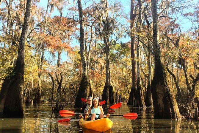 Manchac Swamp Extended 4-Hour Kayak Tour with Pickup - Manchac Swamp kayaking: why this 4-hour stretch is more fun than short tours